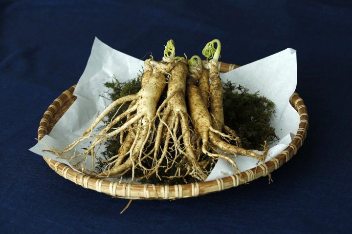 Ginsengwortels