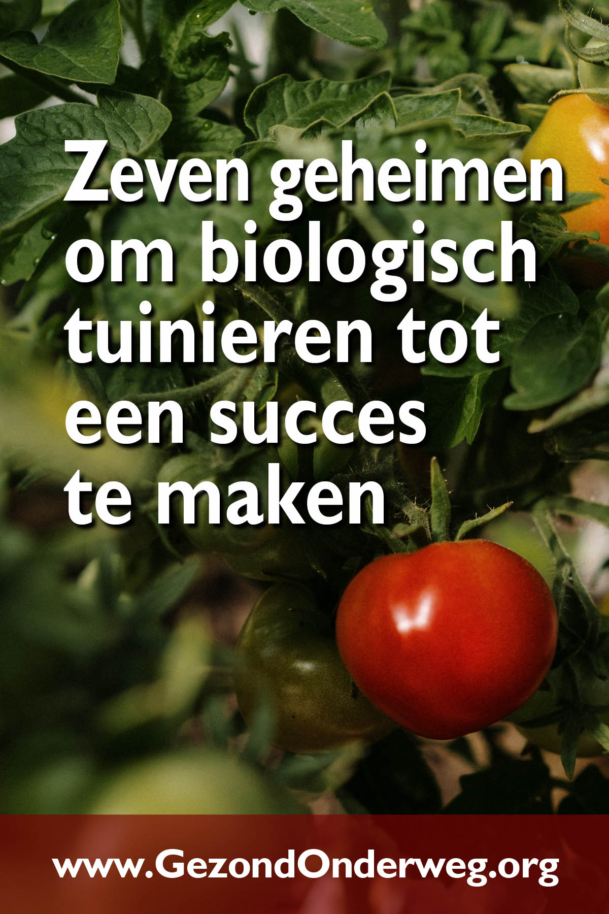 Zeven geheimen om biologisch tuinieren tot een succes te maken