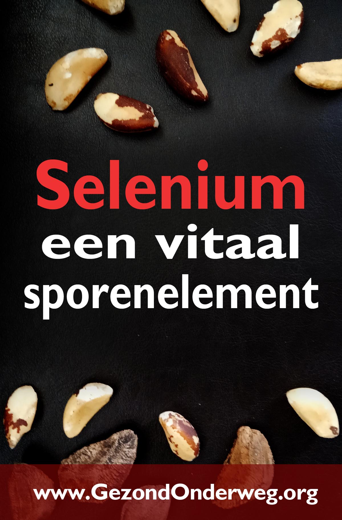 Selenium - een vitaal sporenelement