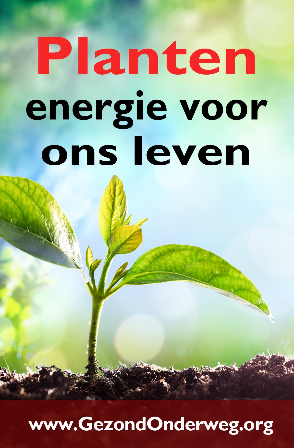Planten - energie voor ons leven