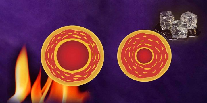Effecten van warmte en koude op de bloedsomloop - vasoconstrictie en vasodilatatie