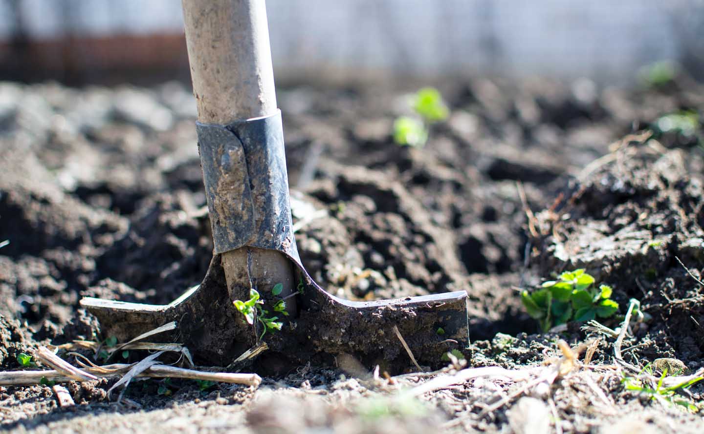 De grond met een schop losmaken - Foto door Lukas van Pexels