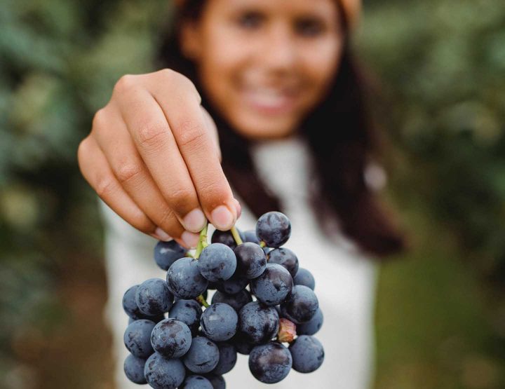 Lekkere biologische druiven - Foto door Zen Chung van Pexels