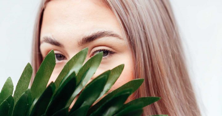 Schuilen - Foto door Anete Lusina van Pexels