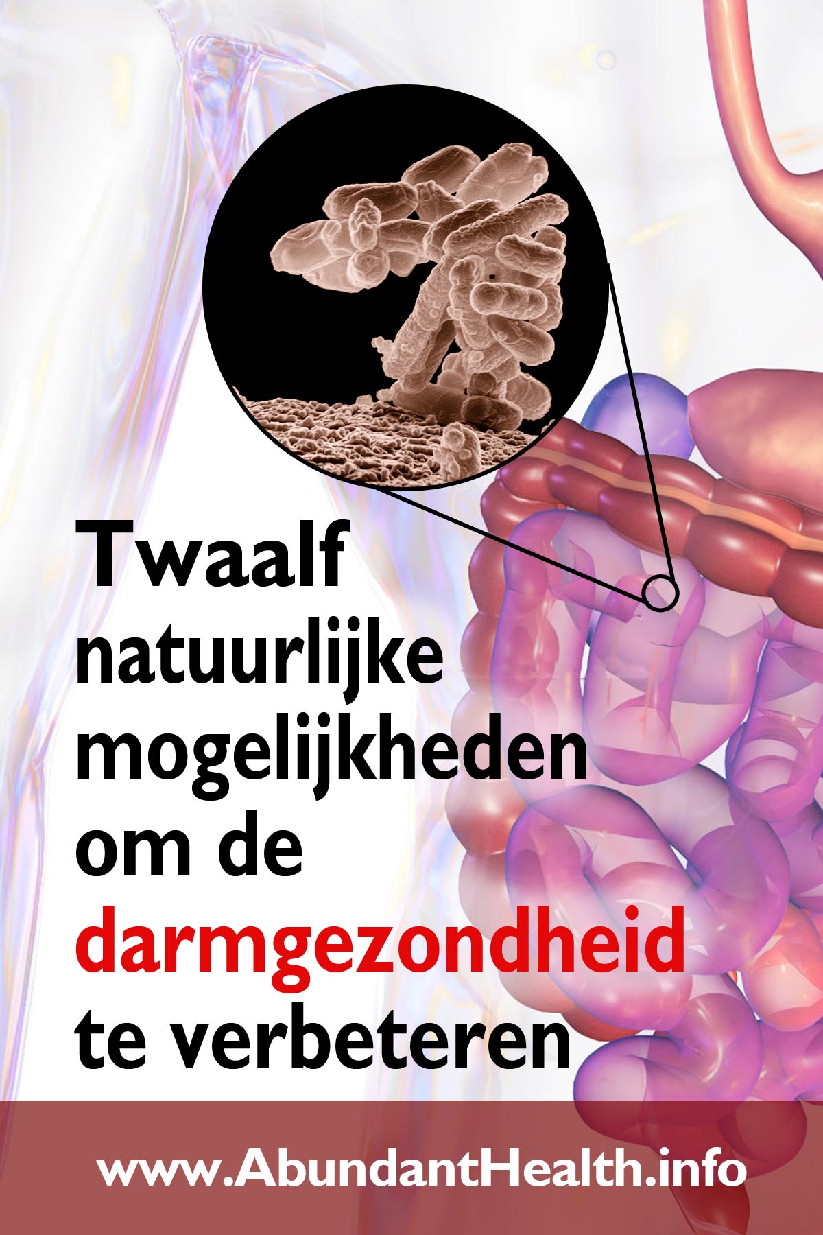 Twaalf natuurlijke mogelijkheden om de darmgezondheid te verbeteren
