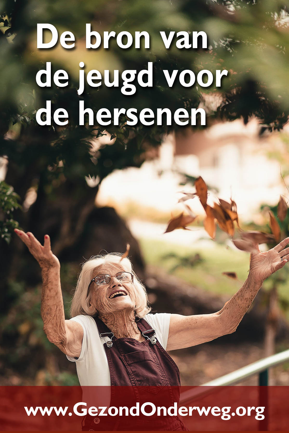 De bron van jeugd voor de hersenen