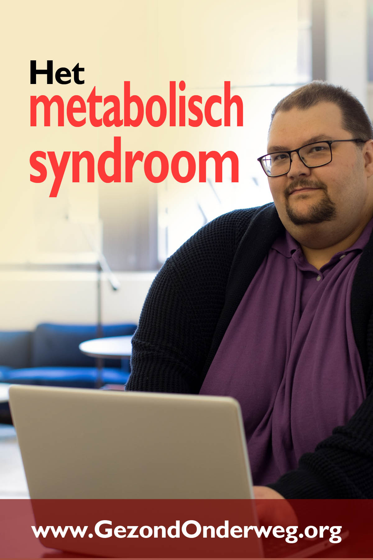 Het metabolisch syndroom