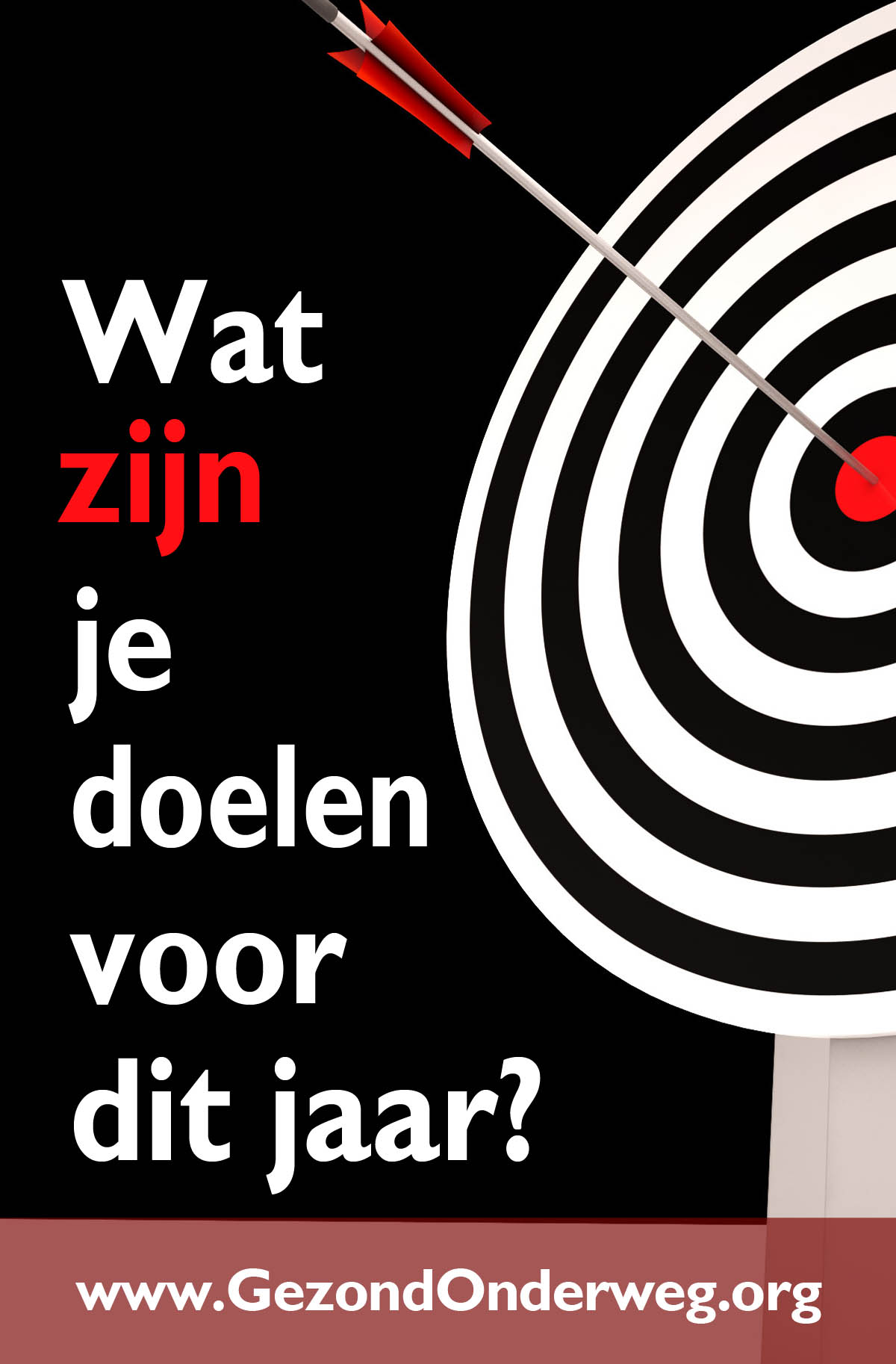 Wat zijn je doelen voor dit jaar?