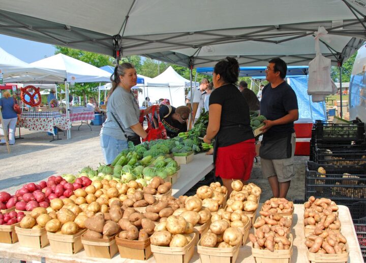Boerenmarkt - Foto door Michigan Municipal League op Pexels, CC2.0 license
https://www.flickr.com/photos/michigancommunities/15168955986/