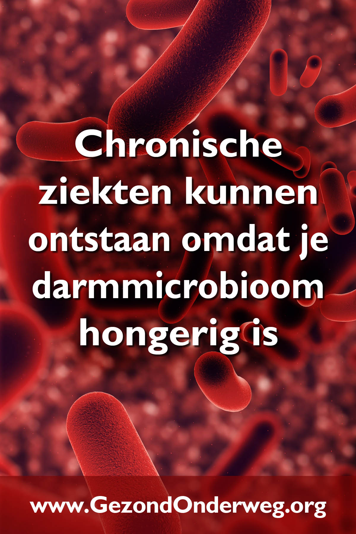 Chronische ziekten kunnen ontstaan omdat je darmmicrobioom hongerig is