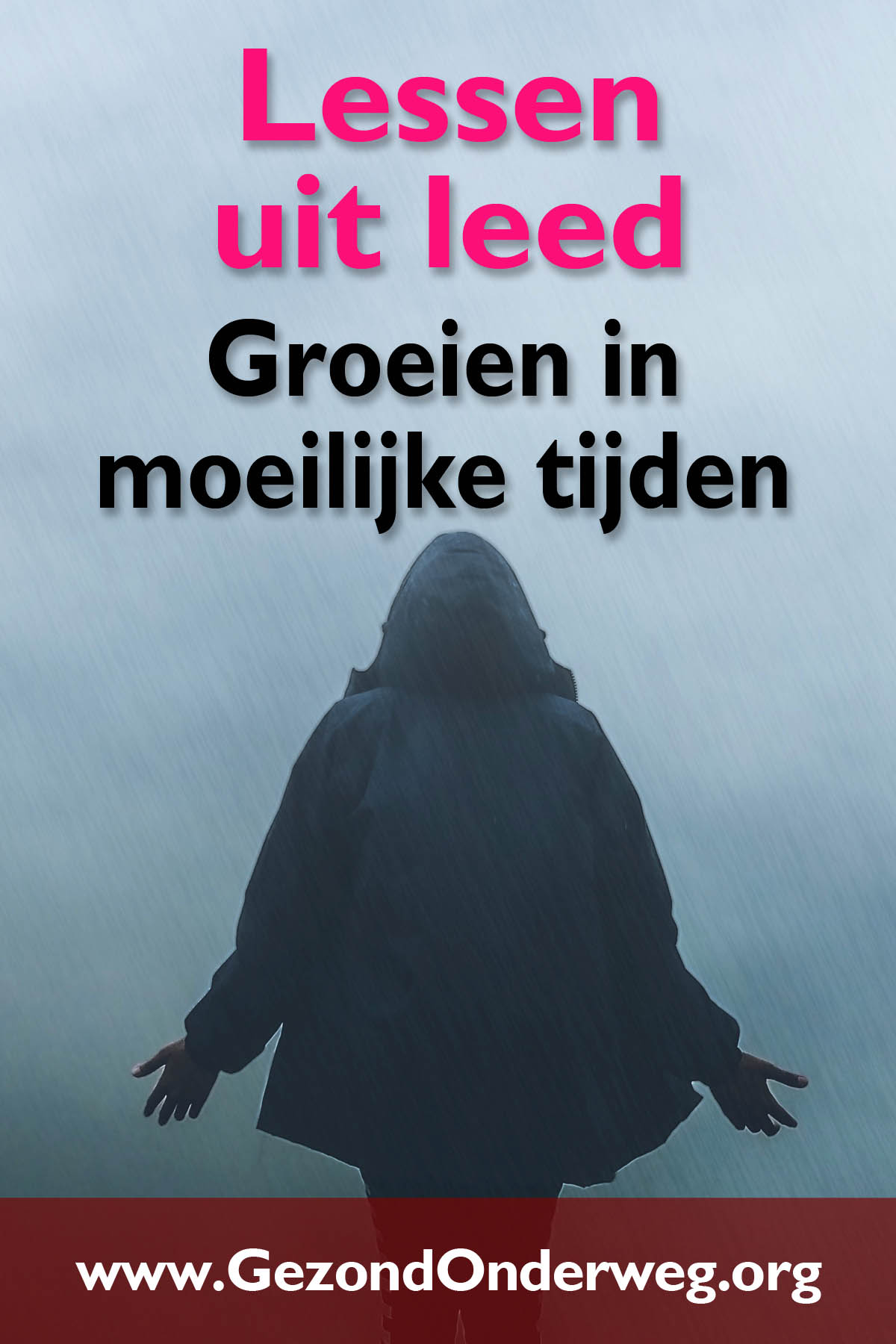 Lessen uit leed - Groeien in moeilijke tijden
