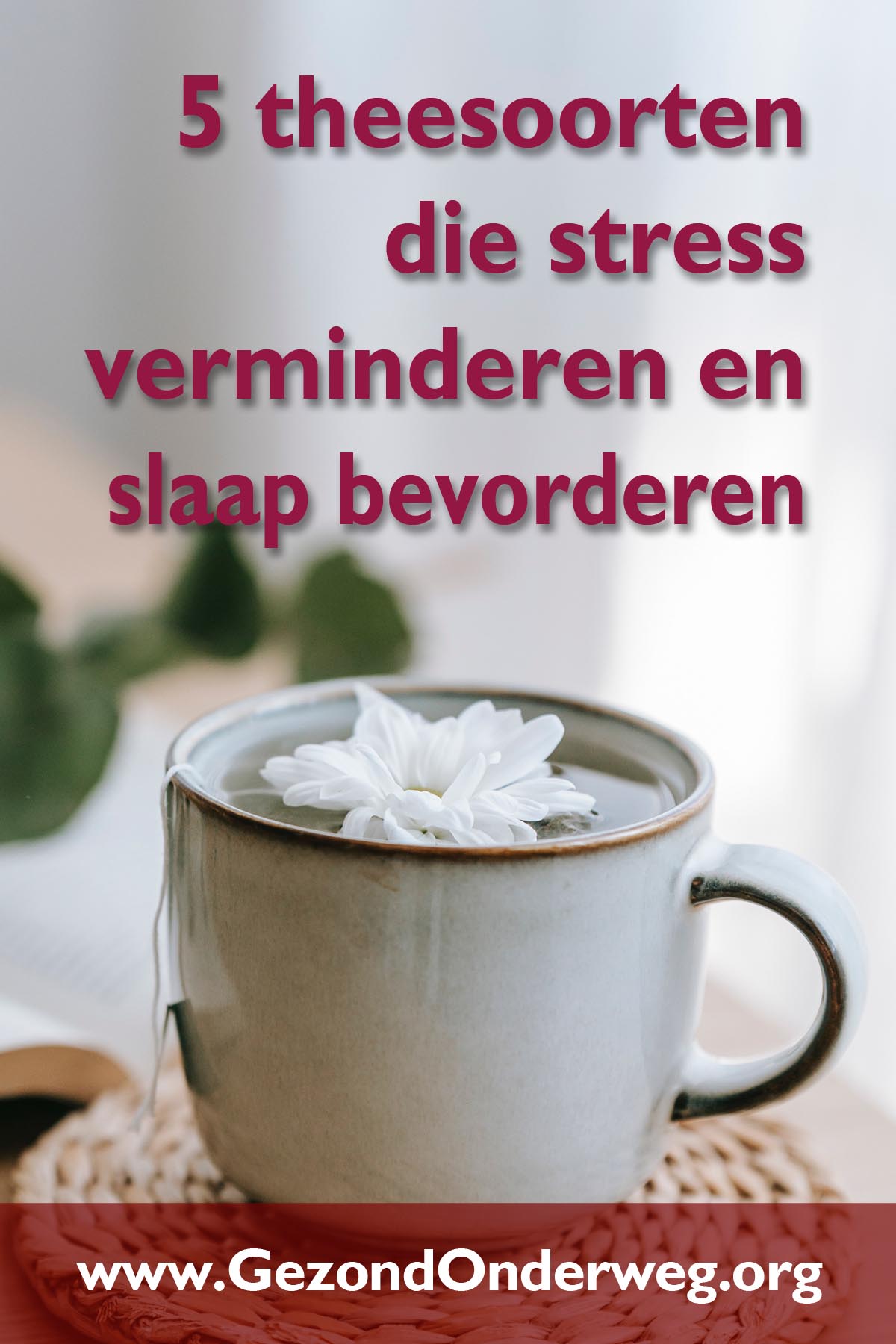 5 theesoorten die stress verminderen en slaap bevorderen