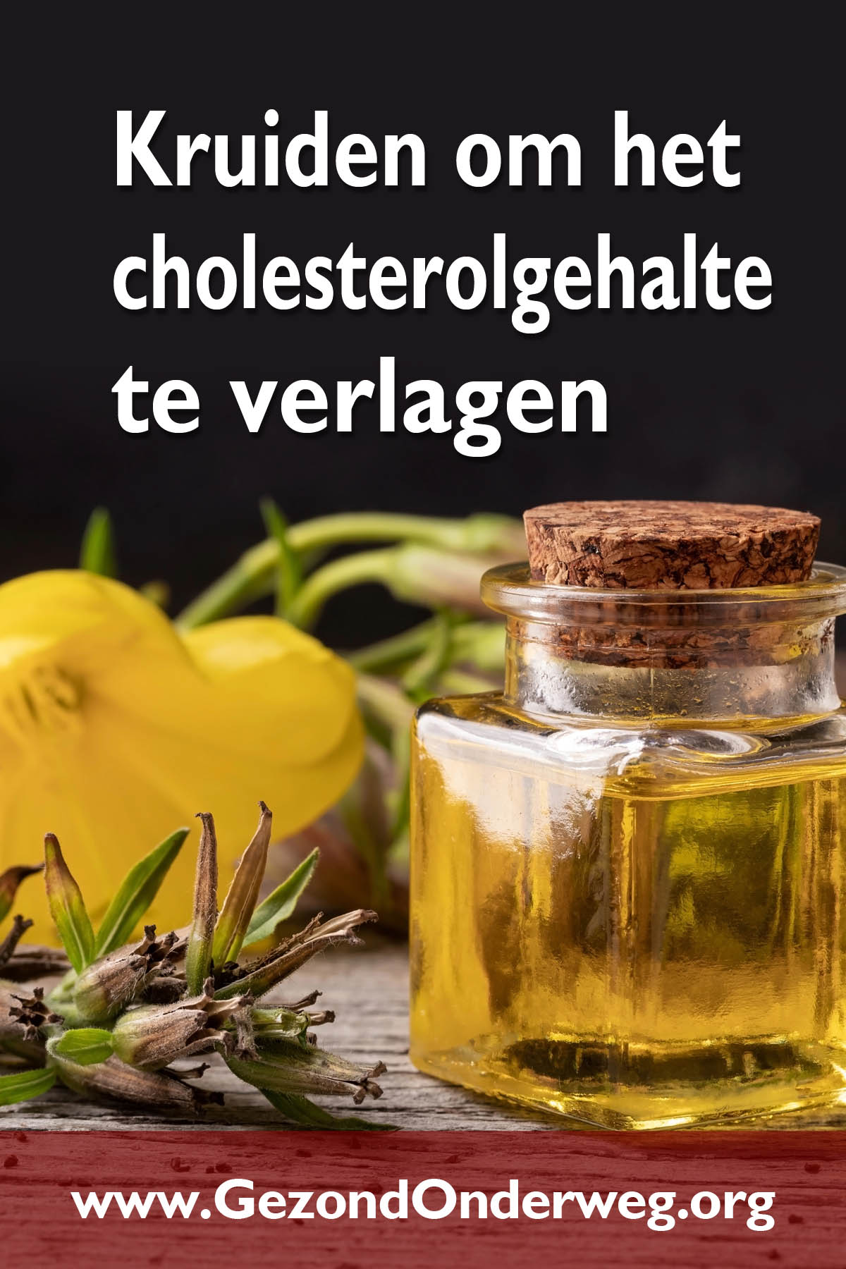 Kruiden om het cholesterolgehalte te verlagen
